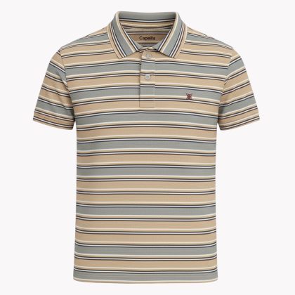 Polo Stripe Slim Fit